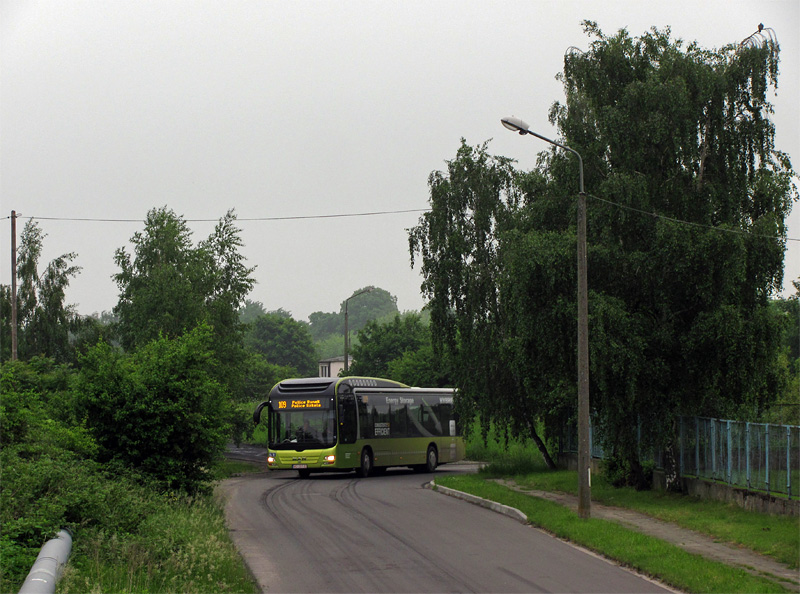 MAN NL253 Lion`s City Hybrid #W2 281B