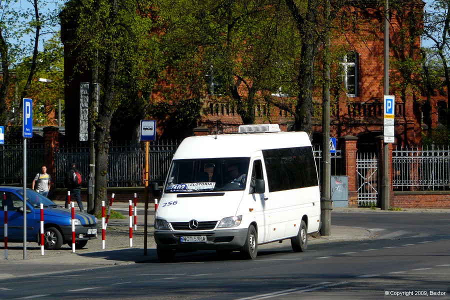 Mercedes-Benz 313 CDI #256