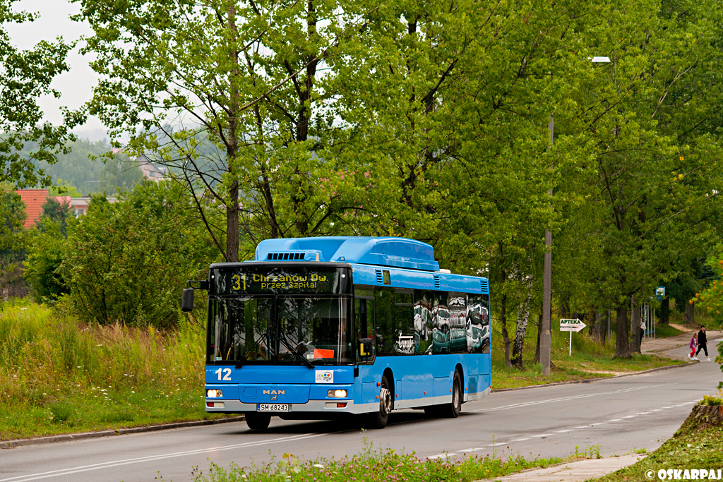 MAN NL313 CNG #12